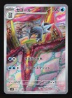 Arctibax