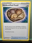 Unidentified Fossil