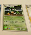 Torterra LV.X 
