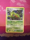 Grovyle