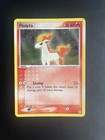 Ponyta