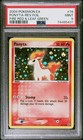 Ponyta