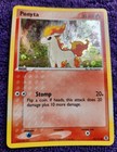 Ponyta