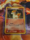 Ponyta