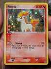 Ponyta