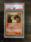 Ponyta