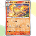 Rapidash