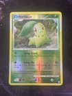 Chikorita