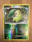 Chikorita
