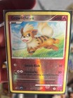 Growlithe