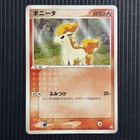 Ponyta