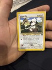Smeargle