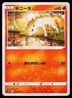 Ponyta