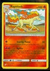 Rapidash