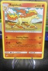 Rapidash