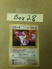 Rattata