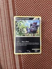 Zorua and Celebi