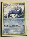 Wailord