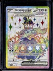 Terapagos Ex