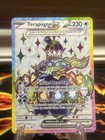 Terapagos Ex