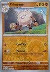 Primeape
