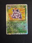 Nidoking