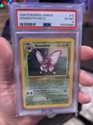 Venomoth