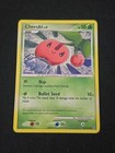 Cherubi