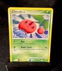 Cherubi