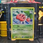Cherubi