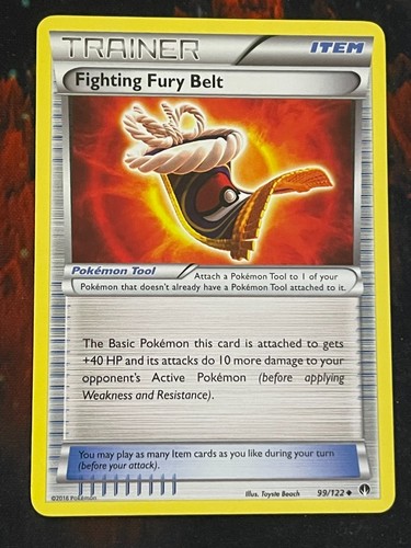 Fighting Fury Belt