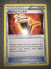 Fighting Fury Belt