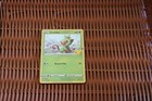 Grookey