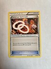 Camerupt Spirit Link