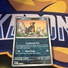 Houndour