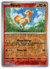 Ponyta