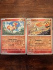 Ponyta