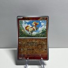 Ponyta