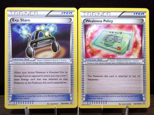 Exp. Share