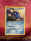 Kyogre