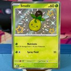 Smoliv