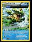 Ludicolo