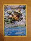 Ludicolo