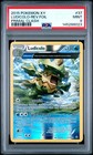 Ludicolo