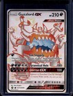 Guzzlord GX