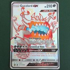 Guzzlord GX