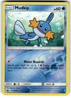 Mudkip