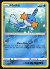 Mudkip