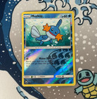 Mudkip