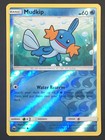 Mudkip